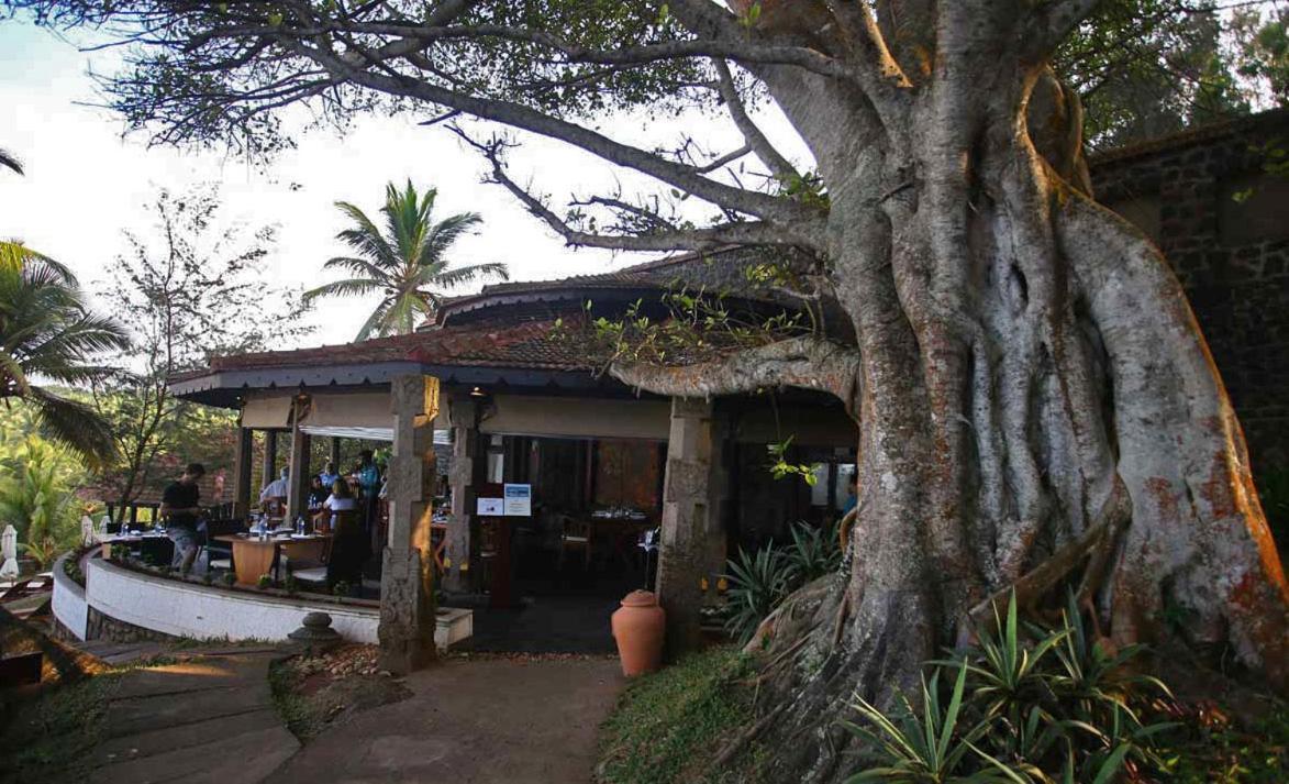 Niraamaya Wellness Retreats, Surya Samudra, Kovalam Ngoại thất bức ảnh