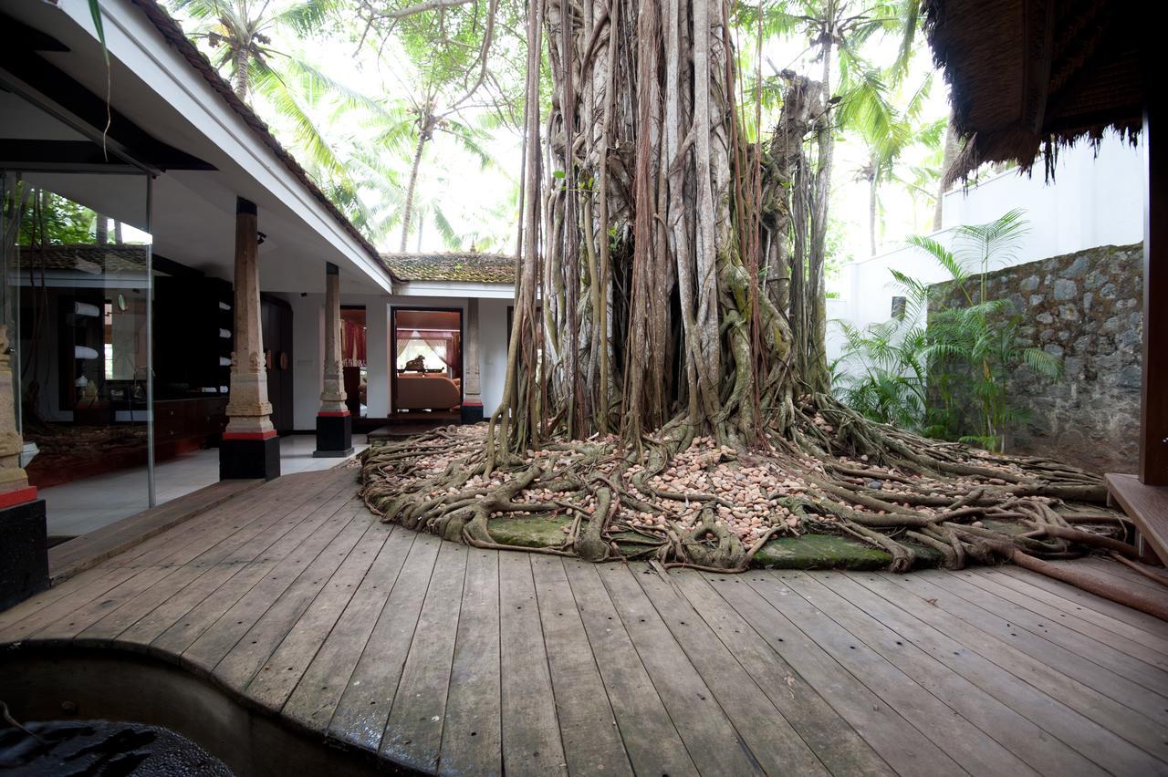 Niraamaya Wellness Retreats, Surya Samudra, Kovalam Ngoại thất bức ảnh